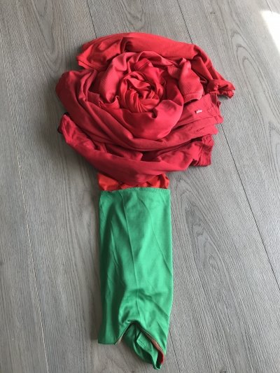 Una rosa de Sant Jordi